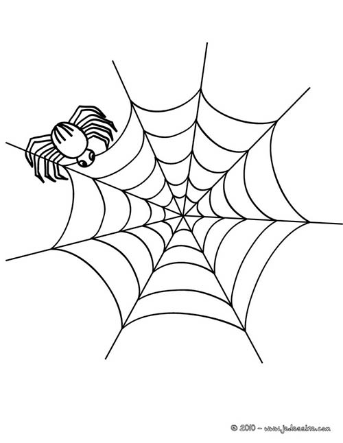 Coloriage-ARAIGNEE-HALLOWEEN-Coloriage-daraignees.jpg