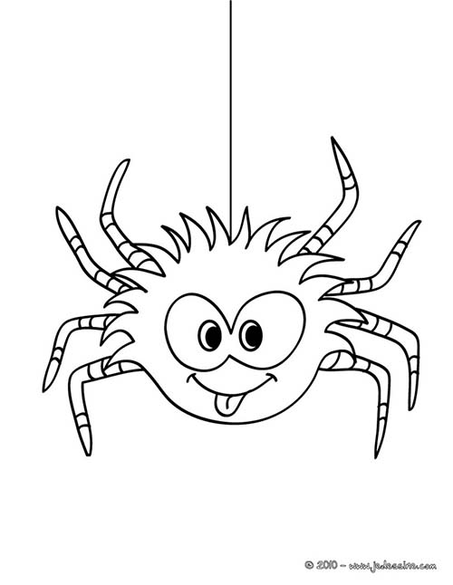 Coloriage-ARAIGNEE-HALLOWEEN-Coloriage-dune-araignee.jpg