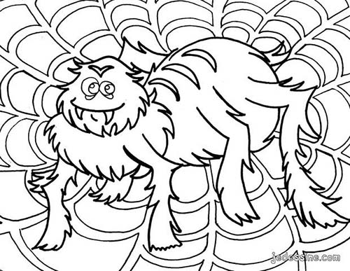 Coloriage-ARAIGNEE-HALLOWEEN-Grosse-araignee-sur-sa-toile.jpg