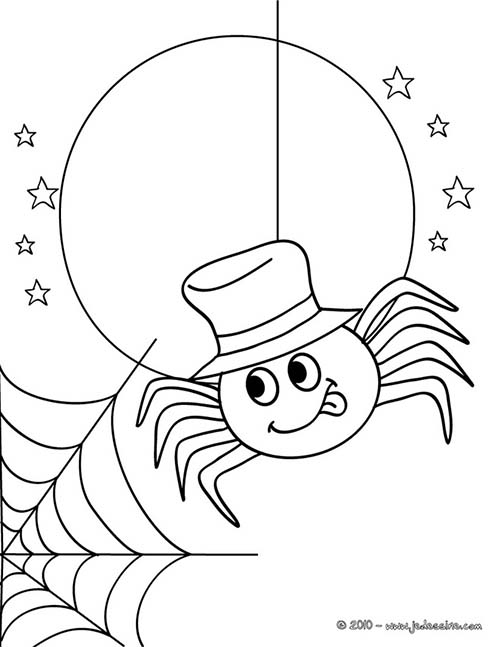 Coloriage-ARAIGNEE-HALLOWEEN-coloriage-araignee-a-imprimer.jpg