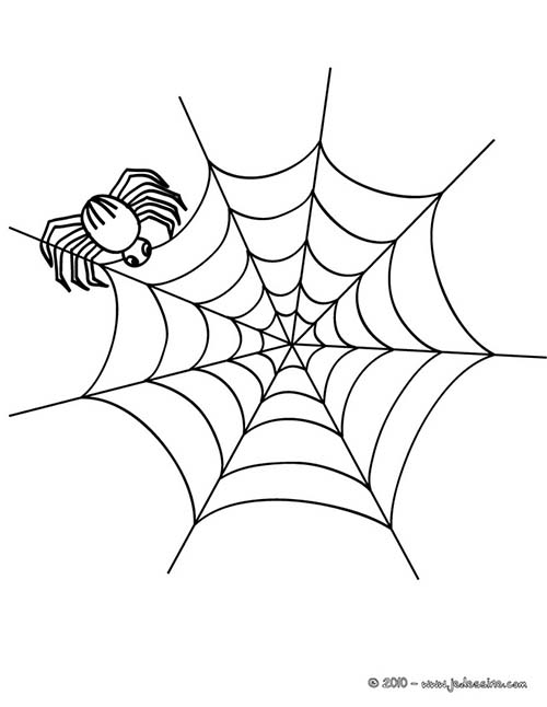 Coloriage-ARAIGNEE-HALLOWEEN-toile-daraignee-halloween.jpg