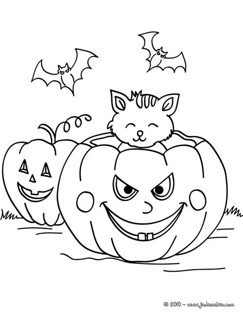 Coloriage-CHAT-HALLOWEEN-Chat-citrouille.jpg