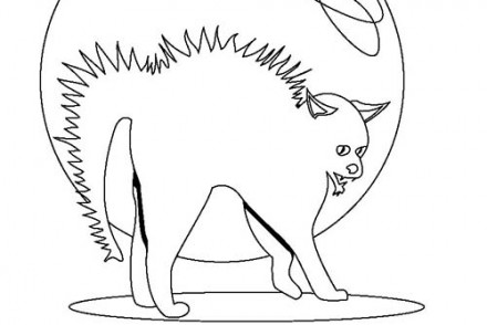 Coloriage-CHAT-HALLOWEEN-Chat-herisse.jpg