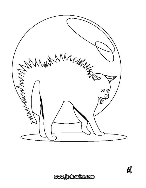 Coloriage-CHAT-HALLOWEEN-Coloriage-dun-chat-herisse.jpg