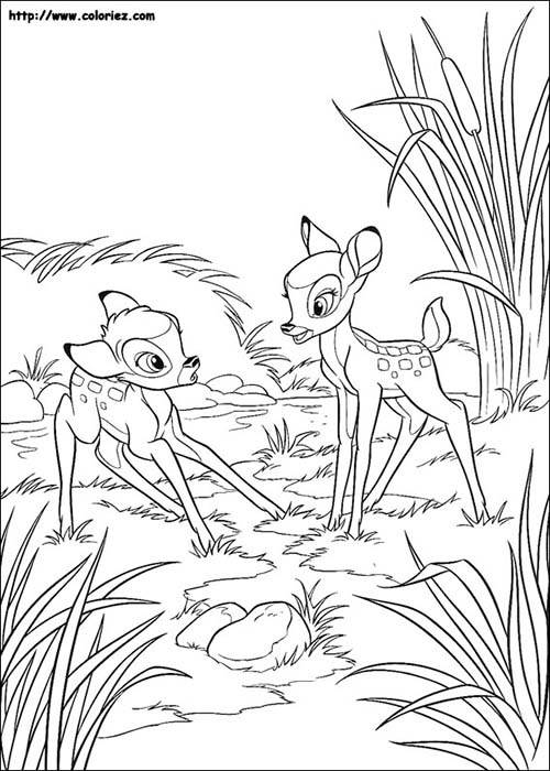 Coloriage-DISNEY-Bambi-et-Feline.jpg