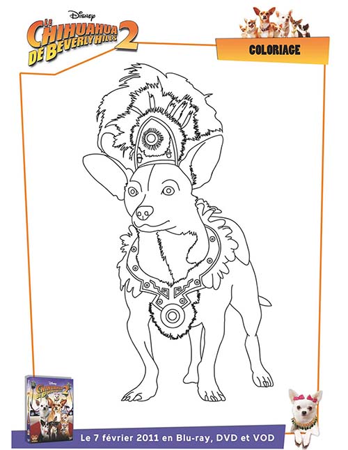 Coloriage-DISNEY-Le-Chihuahua-de-Beverly-Hills.jpg
