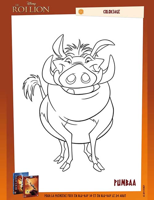 Coloriage-DISNEY-Le-Roi-Lion-PUMBAA.jpg