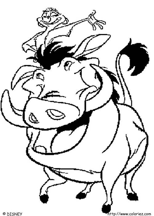 Coloriage-DISNEY-Le-Roi-Lion-TIMON.jpg