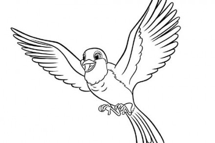 Coloriage-DISNEY-Princesse-Sofia-Loiseau-Robin.jpg