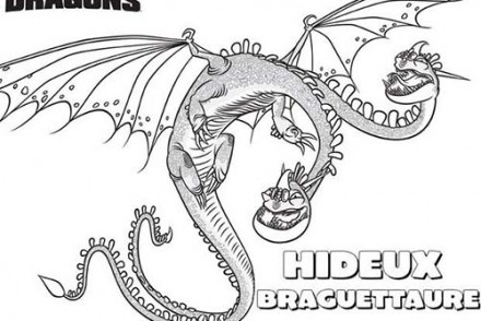 Coloriage-Dragons-Le-Dragon-Hideux-Braguettaure.jpg
