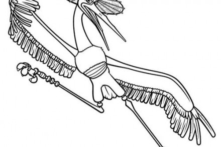 Coloriage-KUNG-FU-PANDA-Crane-le-maitre-Grue.jpg