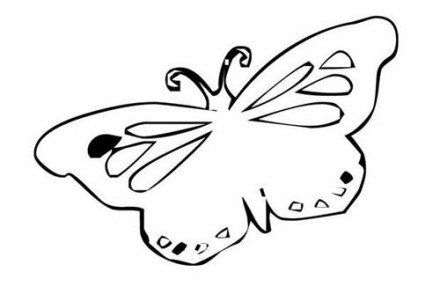 Coloriages-de-papillons-Coloriage-dun-papillon-N-12.jpg