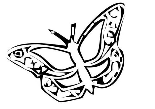 Coloriages-de-papillons-Coloriage-dun-papillon-N-15.jpg
