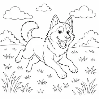 Coloriage Husky courant dans le champ à imprimer