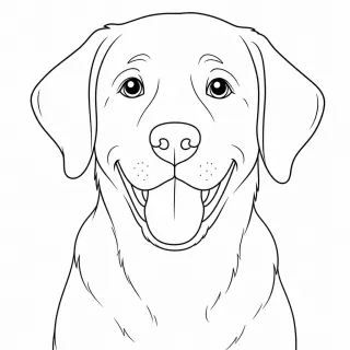 Coloriage Labrador souriant et attentif à imprimer