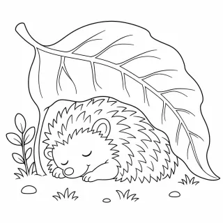 Coloriage Petit hérisson sous feuille à imprimer